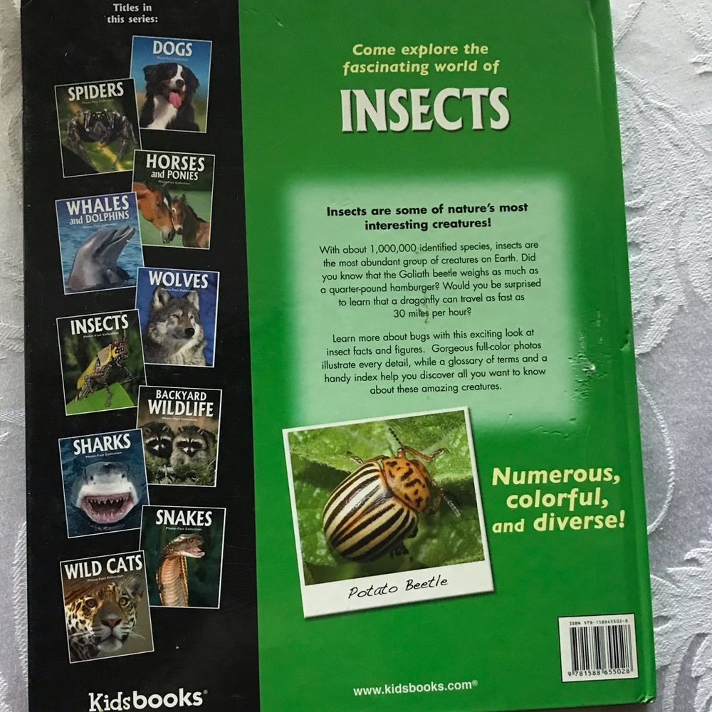 Insects Photo-Fact Collection Book - Picture 2 of 3